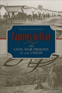 bokomslag Captives in Gray