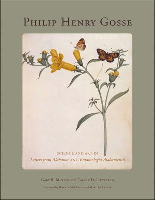 bokomslag Philip Henry Gosse