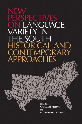 Picone Michael D., Catherine Evans Davies, Michael D. Picone, Catherine Evans Davies, Michael D Picone - New Perspectives on Language Variety in the South, Inbunden