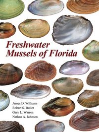 bokomslag Freshwater Mussels of Florida