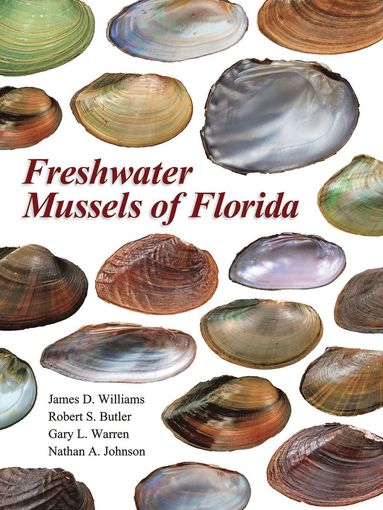 bokomslag Freshwater Mussels of Florida