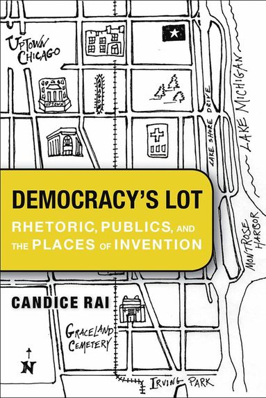 bokomslag Democracy's Lot