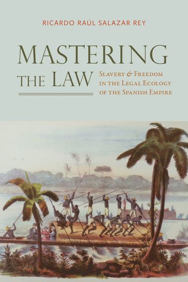 bokomslag Mastering the Law