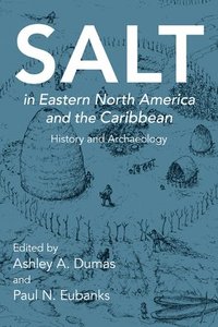 bokomslag Salt in Eastern North America and the Caribbean
