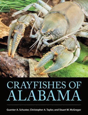 Crayfishes of Alabama 1
