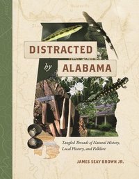 bokomslag Distracted by Alabama