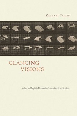 bokomslag Glancing Visions