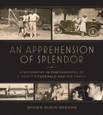 An Apprehension of Splendor 1