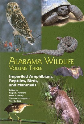 bokomslag Alabama Wildlife v. 3; Imperiled Terrestrial Wildlife