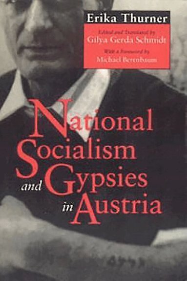 Erika Thurner, Gilya Gerda Schmidt - National Socialism and Gypsies in Austria, Häftad