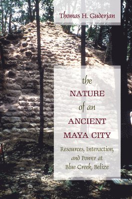 The Nature of an Ancient Maya City 1