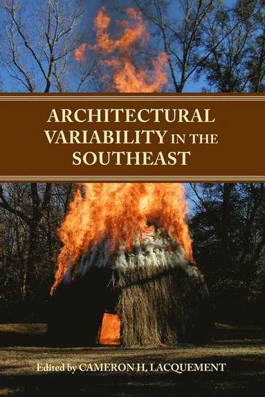 bokomslag Architectural Variability in the Southeast