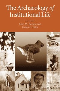 bokomslag The Archaeology of Institutional Life