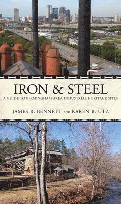 Iron and Steel 1