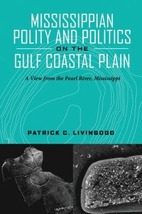 bokomslag Mississippian Polity and Politics on the Gulf Coastal Plain