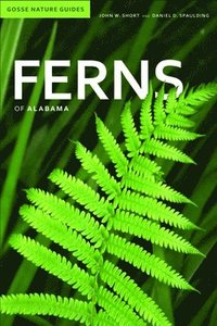 bokomslag Ferns of Alabama
