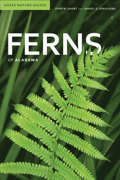 bokomslag Ferns of Alabama