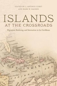 bokomslag Islands at the Crossroads