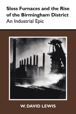 bokomslag Sloss Furnaces and the Rise of the Birmingham District