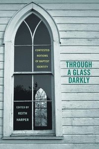 bokomslag Through a Glass Darkly