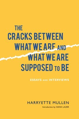 The Cracks Between What We Are and What We Are Supposed to Be 1