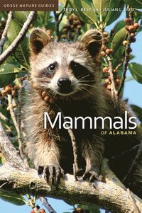bokomslag Mammals of Alabama