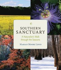 bokomslag Southern Sanctuary