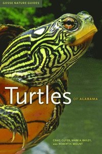 bokomslag Turtles of Alabama