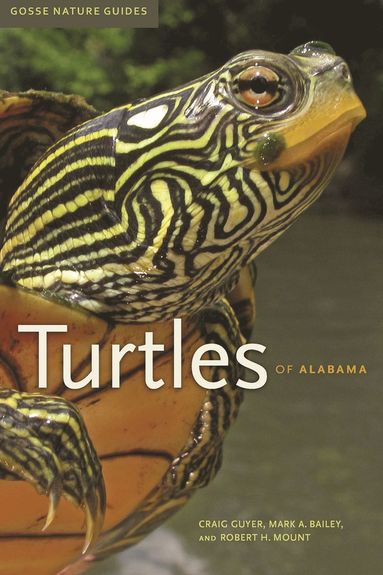 bokomslag Turtles of Alabama