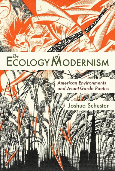 Joshua Schuster - Ecology of Modernism, Häftad
