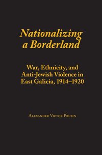 bokomslag Nationalizing a Borderland