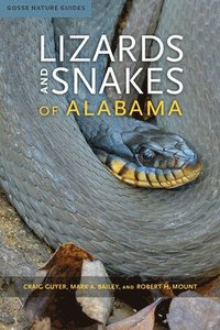 bokomslag Lizards and Snakes of Alabama