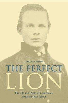 The Perfect Lion 1