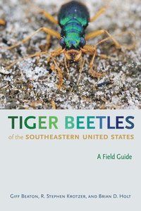 bokomslag Tiger Beetles of the Southeastern United States
