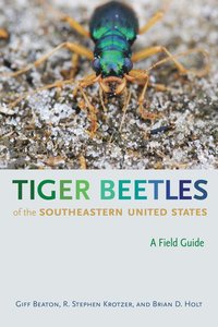 bokomslag Tiger Beetles of the Southeastern United States