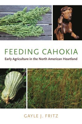 Feeding Cahokia 1