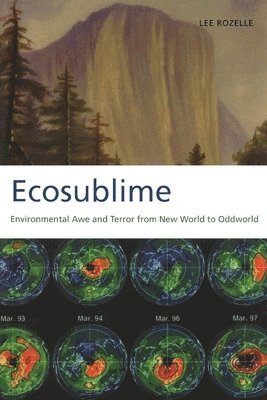 Ecosublime 1