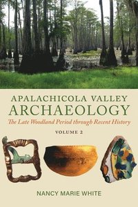 bokomslag Apalachicola Valley Archaeology