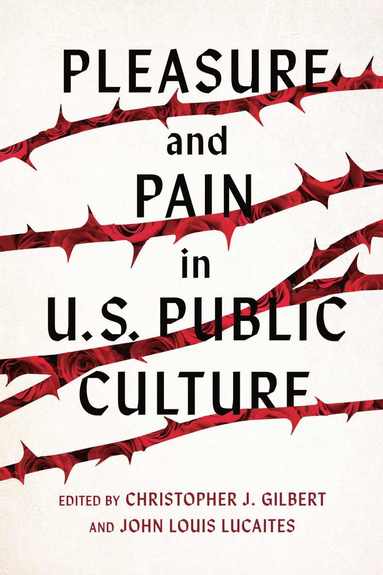 bokomslag Pleasure and Pain in US Public Culture