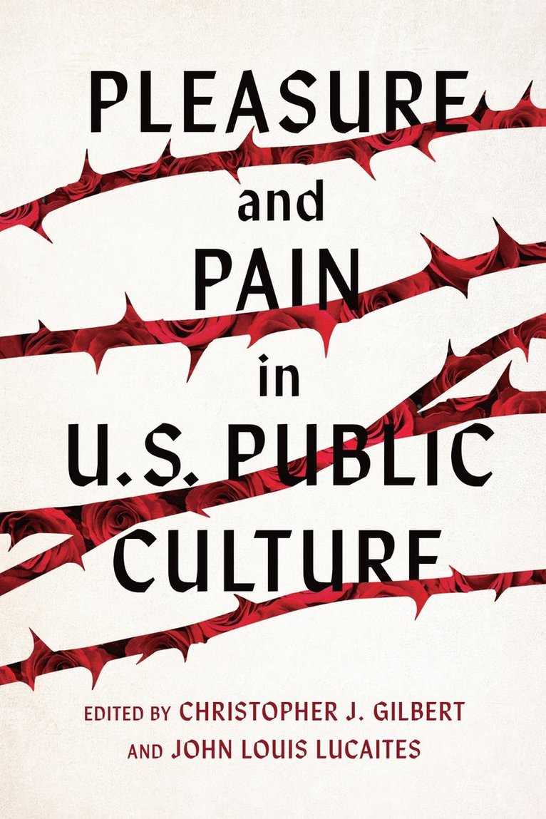 Pleasure and Pain in US Public Culture 1