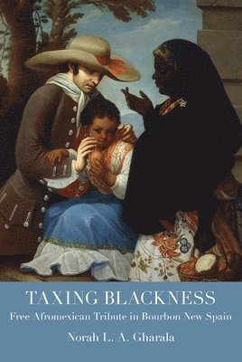 Taxing Blackness