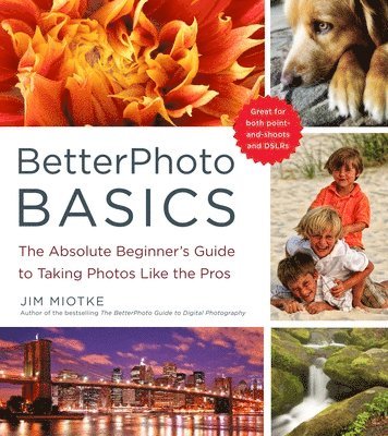BetterPhoto Basics 1