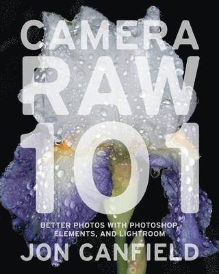 bokomslag Camera RAW 101