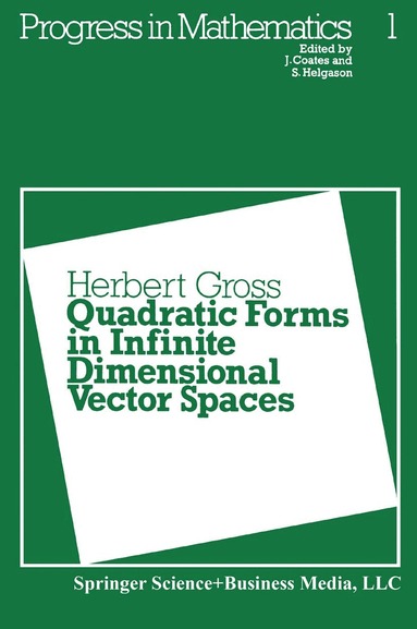 H. Gross - Quadratic Forms in Infinite Dimensional Vector Spaces, Häftad