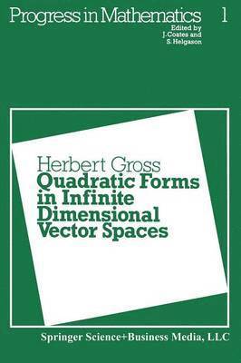 H. Gross - Quadratic Forms in Infinite Dimensional Vector Spaces, Häftad