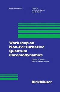 bokomslag Workshop on Non-Perturbative Quantum Chromodynamics