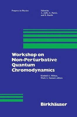 Workshop on Non-Perturbative Quantum Chromodynamics 1