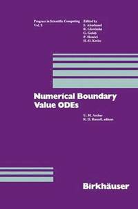 bokomslag Numerical Boundary Value ODEs