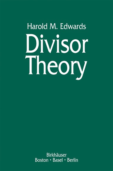 bokomslag Divisor Theory