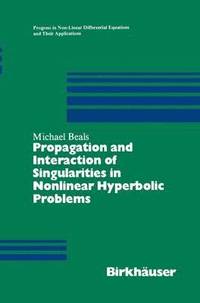 bokomslag Propagation and Interaction of Singularities in Nonlinear Hyperbolic Problems